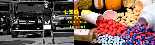 прущие грибы Арсеньев
