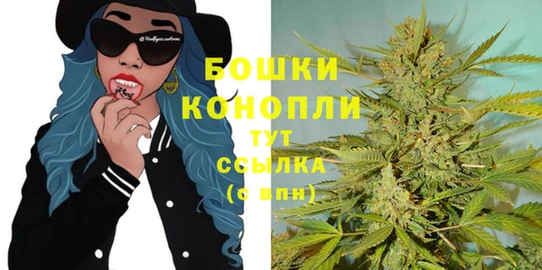 прущие грибы Арсеньев