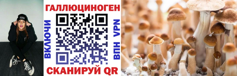 Псилоцибиновые грибы мухоморы  Ряжск 